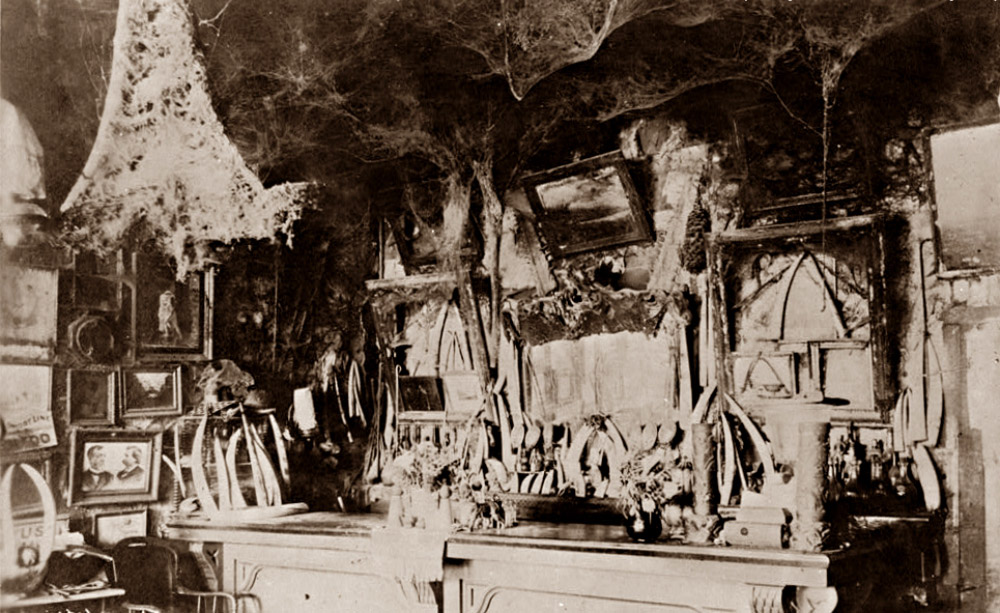 The Cobweb Palace bar