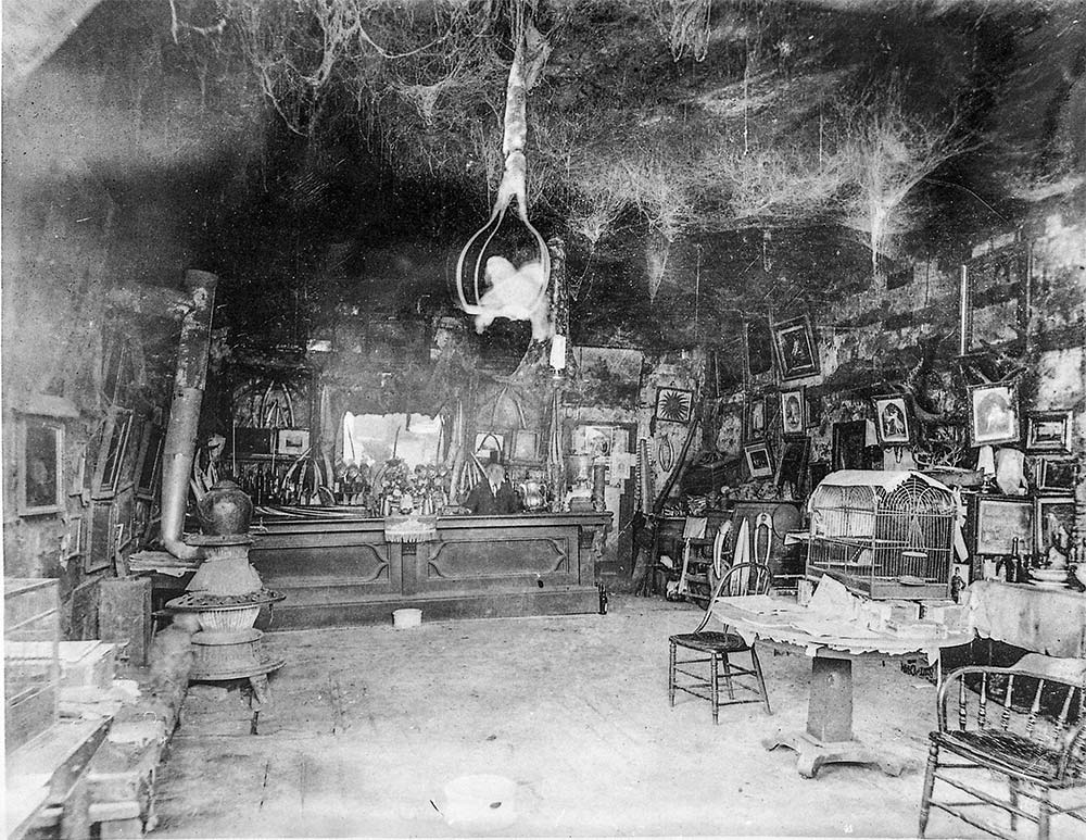 The Cobweb Palace interior - ceiling with webs