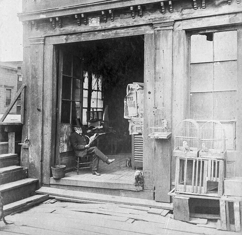 The Cobweb Palace - Abe sitting on chair