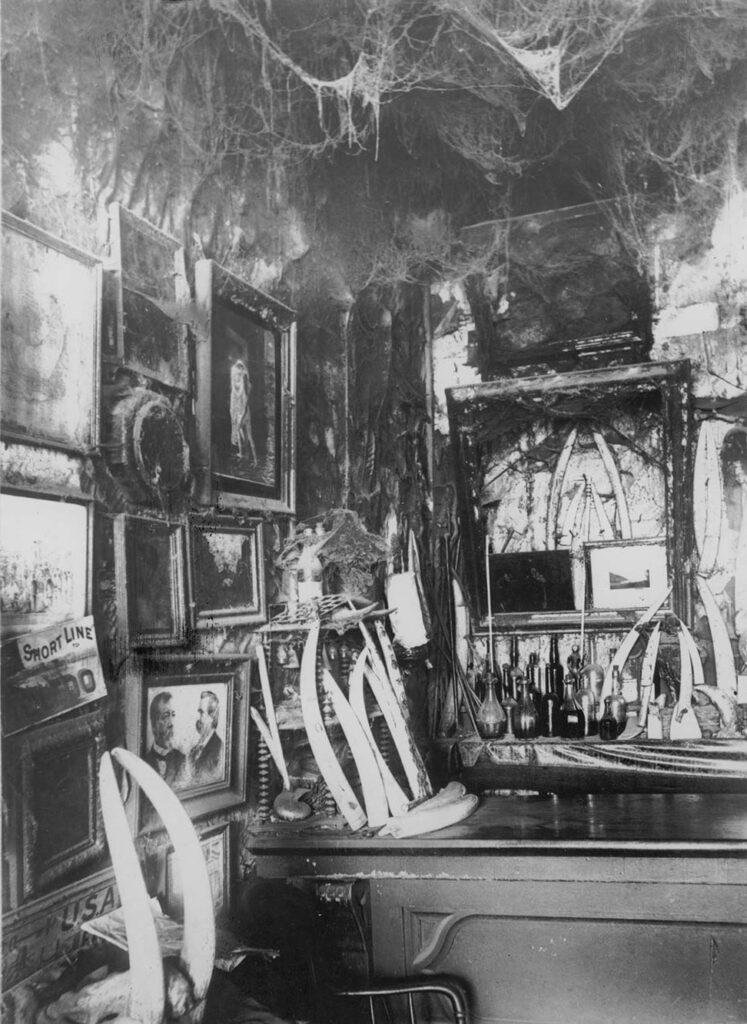The Cobweb Palace interior